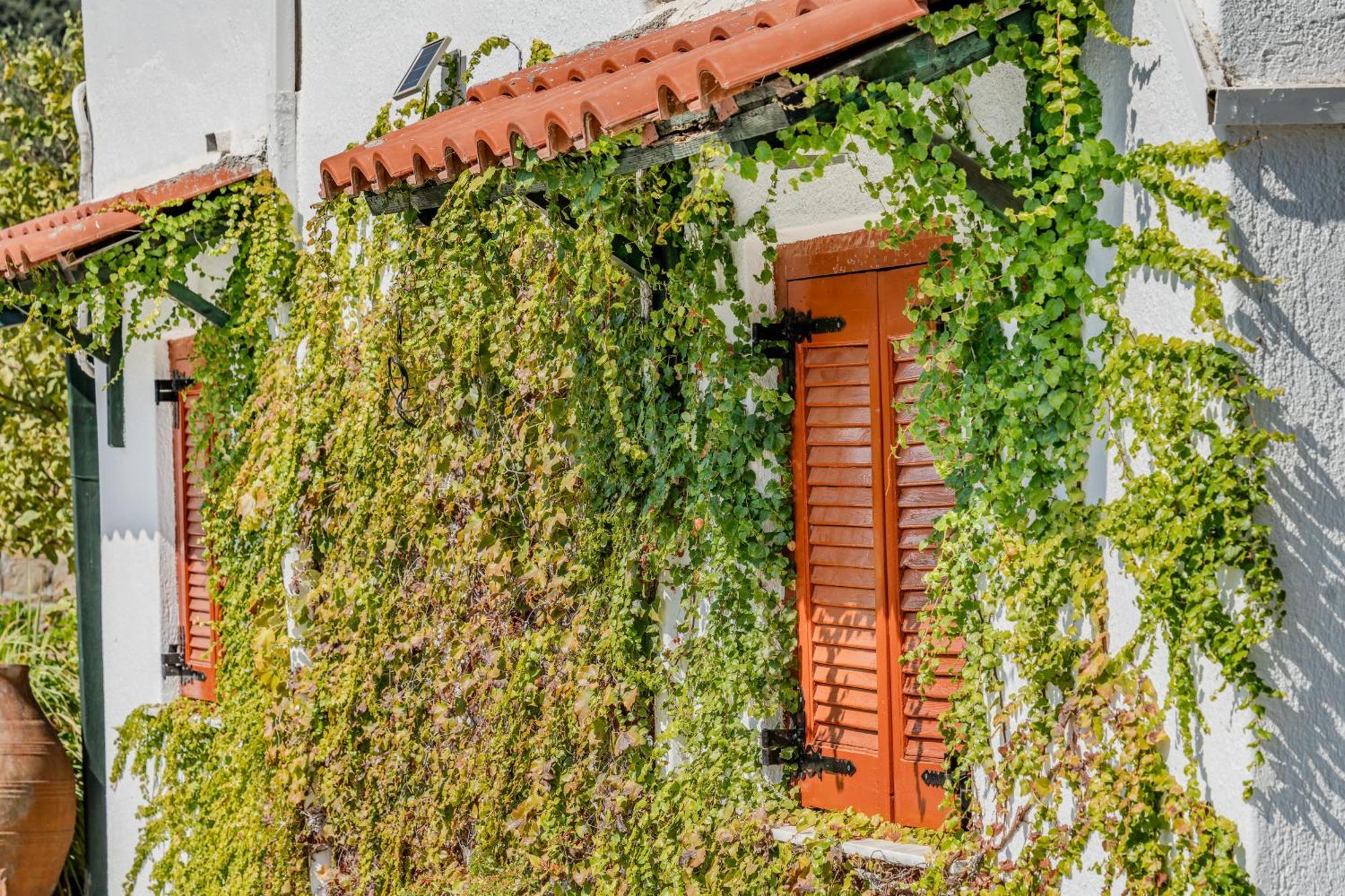 Athina Villas Istron Esterno foto