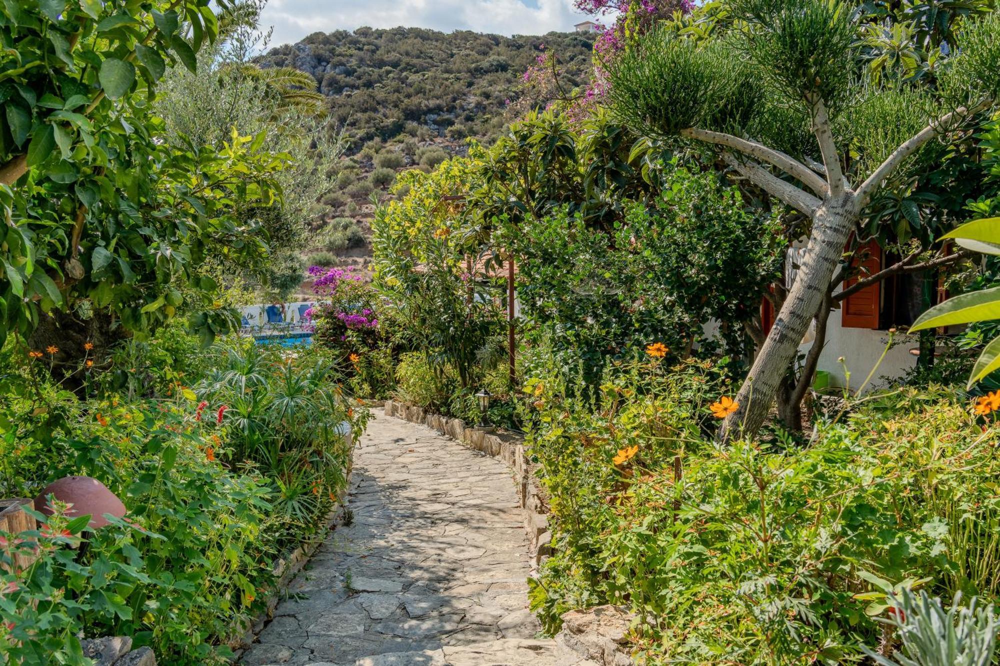 Athina Villas Istron Esterno foto