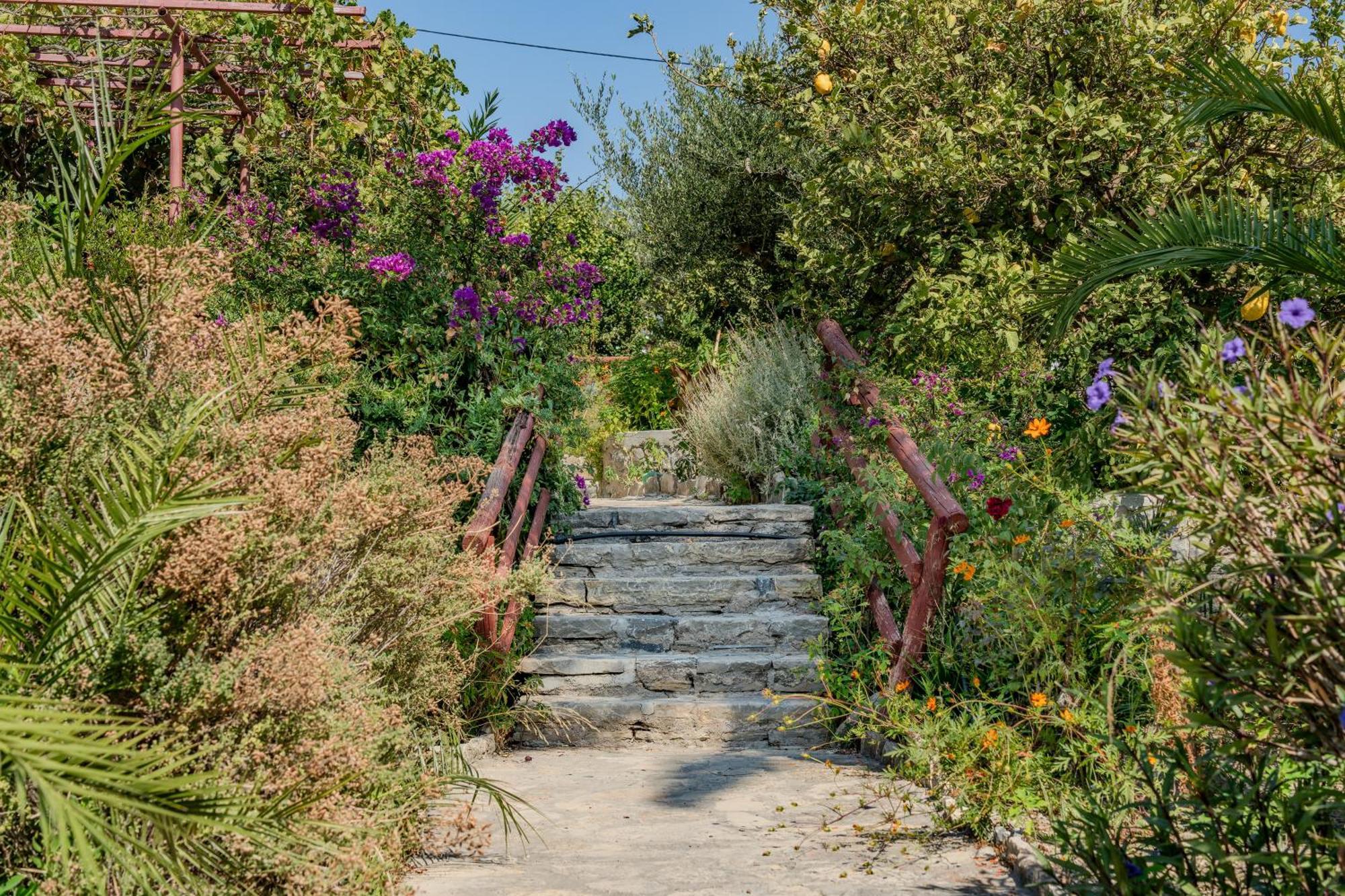 Athina Villas Istron Esterno foto