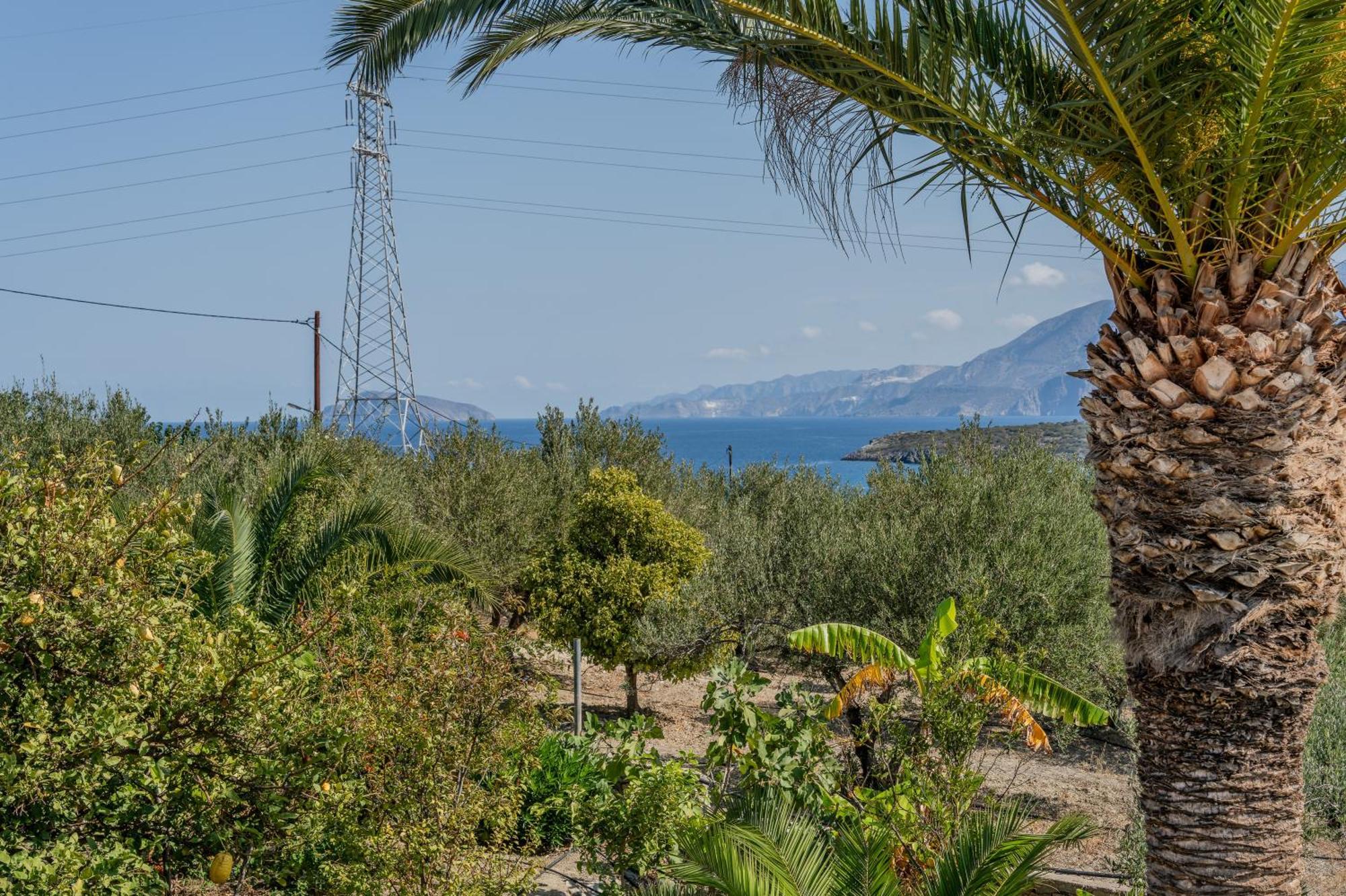 Athina Villas Istron Esterno foto